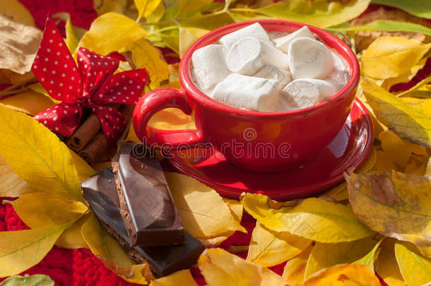 一杯红色的可可，上面有棉花糖，几片巧克力棒和肉桂棒，表面覆盖着黄色的叶子