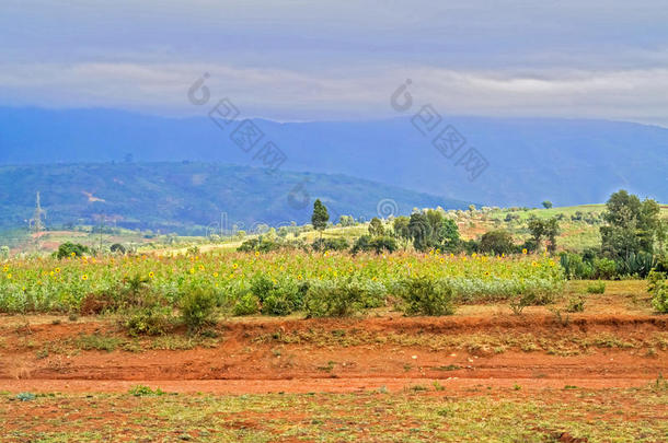 <strong>非洲</strong>乡村<strong>风景</strong>在户外<strong>风景</strong>如画的