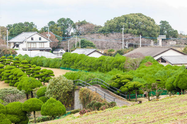 日本机器人传统<strong>日本房子</strong>的美丽景色