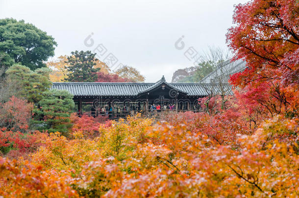 秋叶在<strong>托福</strong>吉寺