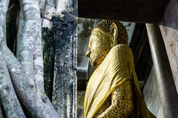 金佛雕像在瓦邦<strong>功夫</strong>，安帕瓦，泰国