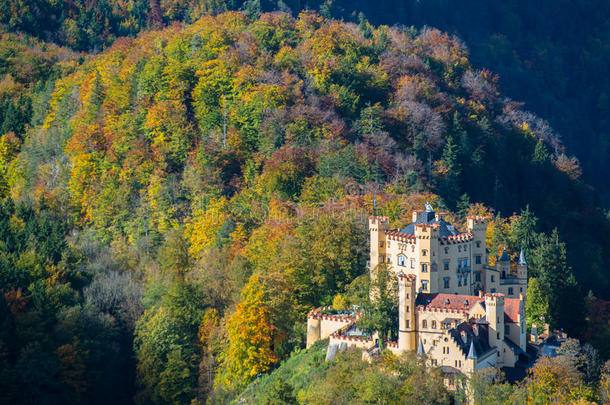 巴伐利亚阿尔卑斯山的霍恩施旺古城堡