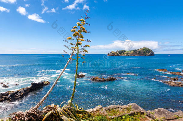 大西洋亚速尔群岛蓝色海岸陨石坑