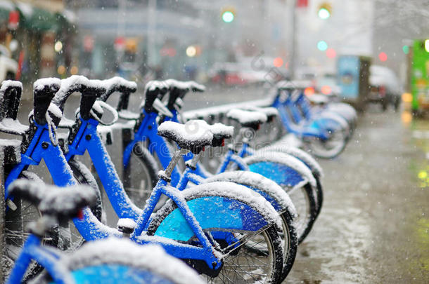 美国自行车蓝色圣诞节气候