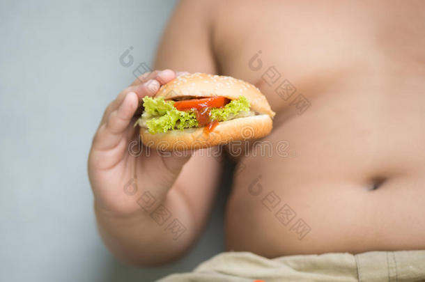 肥<strong>胖胖</strong>男孩手上的鸡肉奶酪汉堡