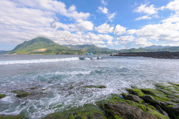 藻类海湾蓝色模糊斗篷