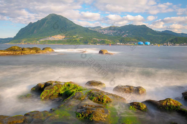 藻类海湾蓝色模糊斗篷