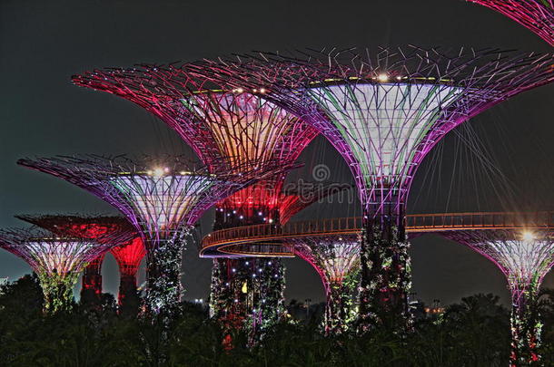 和建筑学艺术海湾花园