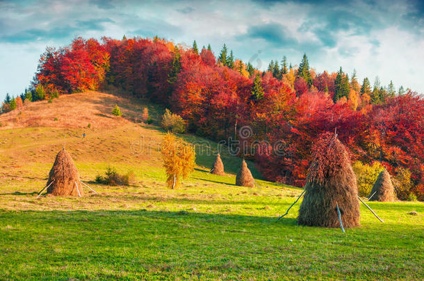 喀尔巴阡山秋色绚丽。