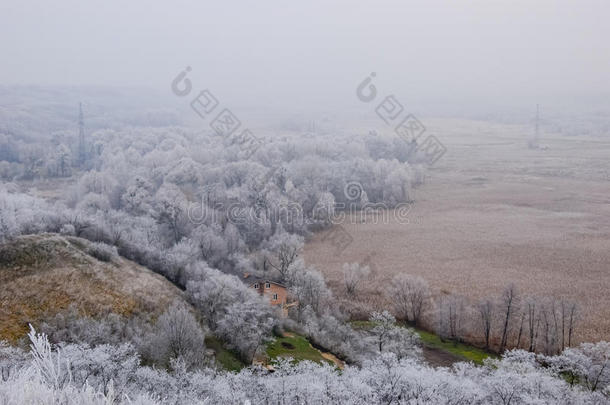 早期冬季景观与房屋和结霜的植物和树木。