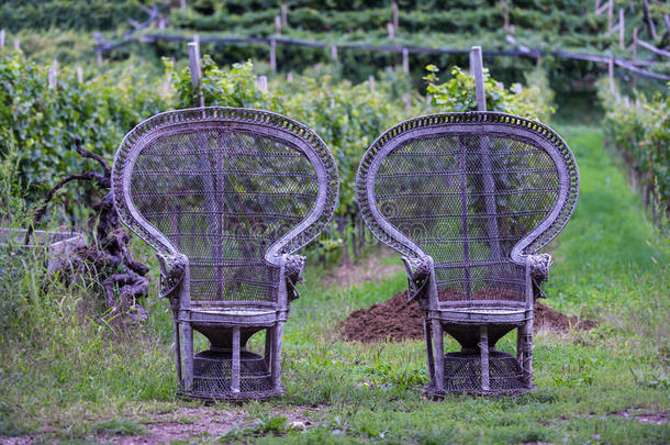 编织的棕色的椅子上等的夫妇