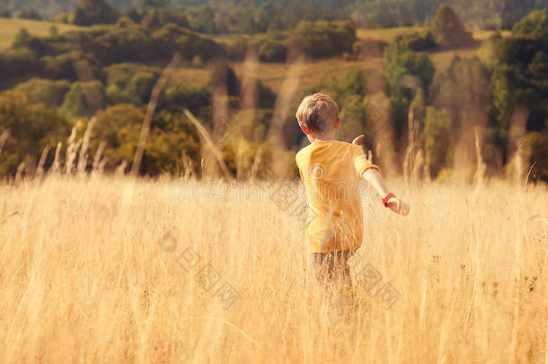 无忧无虑的小男孩跑过高高的<strong>金色草地</strong>