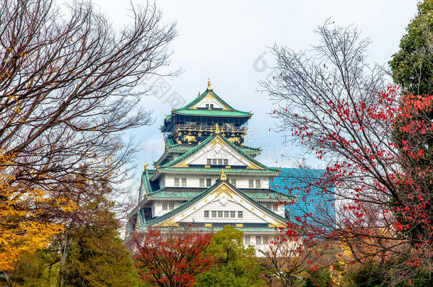 日本大阪的大阪城堡。