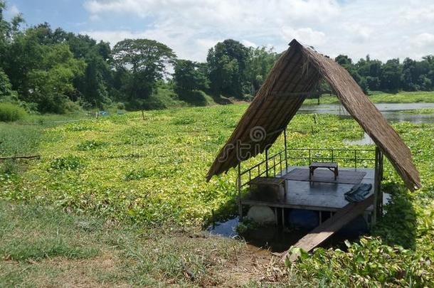 <strong>竹筏</strong>小屋在平静的蓝天下，在宁静的河流中，在充满水葫芦的河流中形成