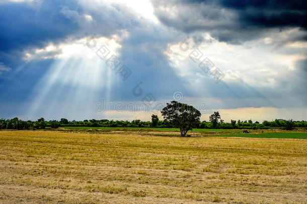 <strong>雨后的天空</strong>