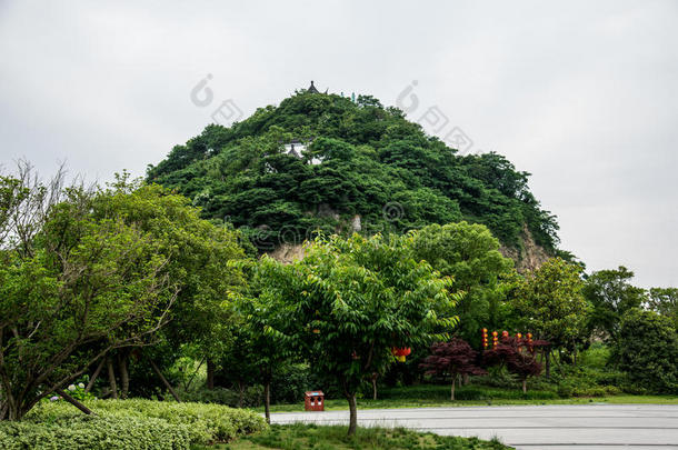 亚洲亚洲的瓷器中国人森林