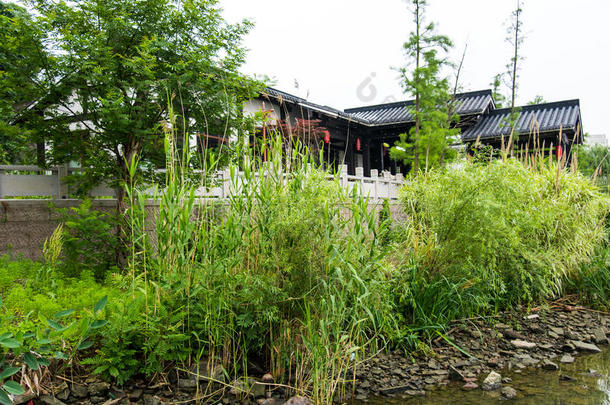 贝古湾风景