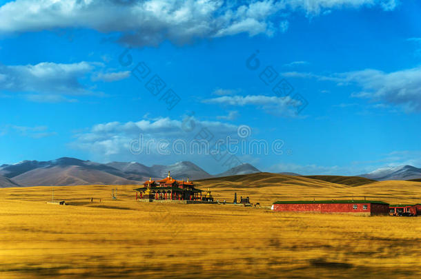新疆巴音布卢克草原