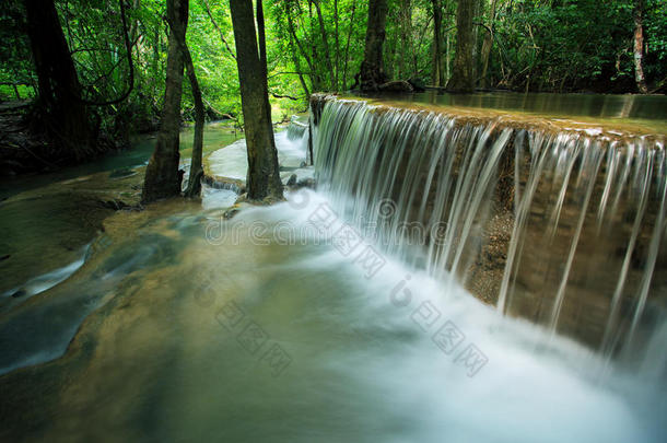 美丽的海梅·卡明水落在坎查纳布里的深林中