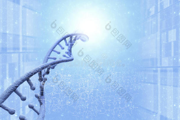 <strong>dna</strong>分子