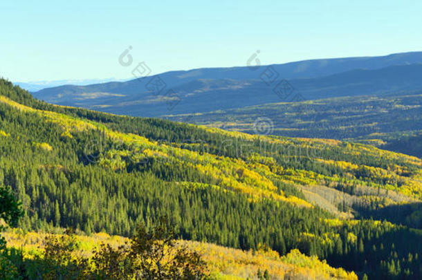 叶季黄绿杨和高山的高山风光