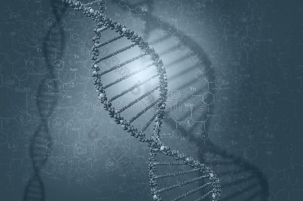 <strong>dna</strong>分子