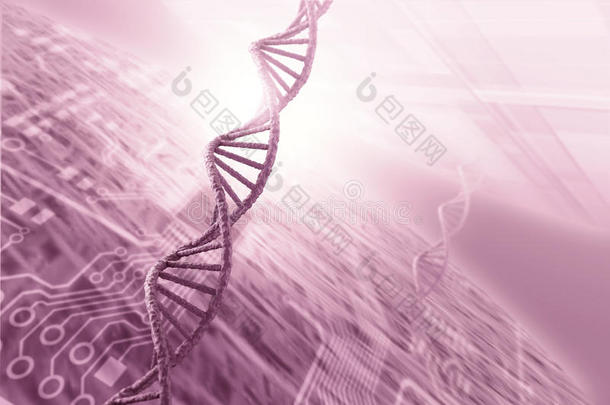 <strong>dna</strong>分子