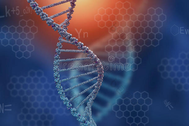 <strong>dna</strong>分子