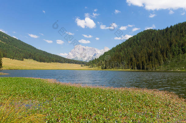 美丽的高山全景