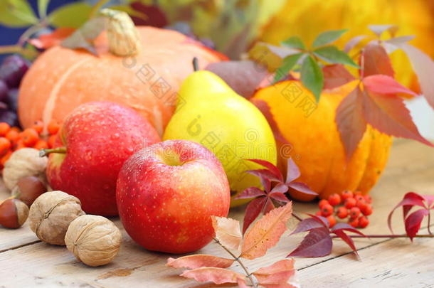 秋天的静物有水果、蔬菜、浆果和坚果