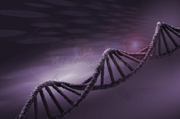 <strong>dna</strong>分子