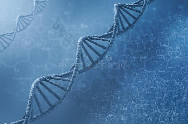 <strong>dna</strong>分子