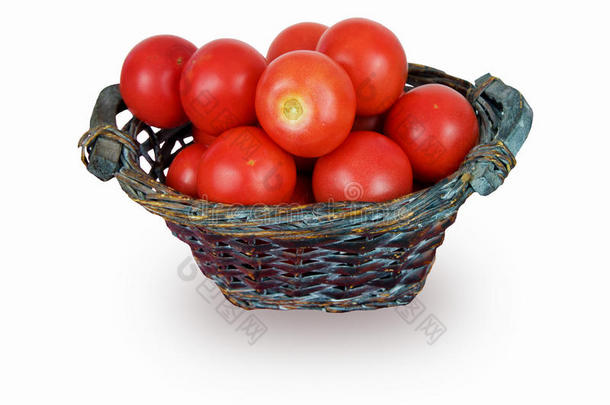 白色背景的柳条篮子里的新鲜红色西红柿