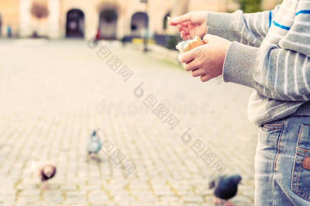 特写图片男孩手拿面包喂鸽子