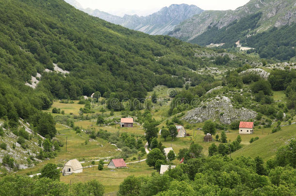 山里的风景