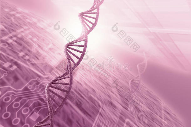 <strong>dna</strong>分子