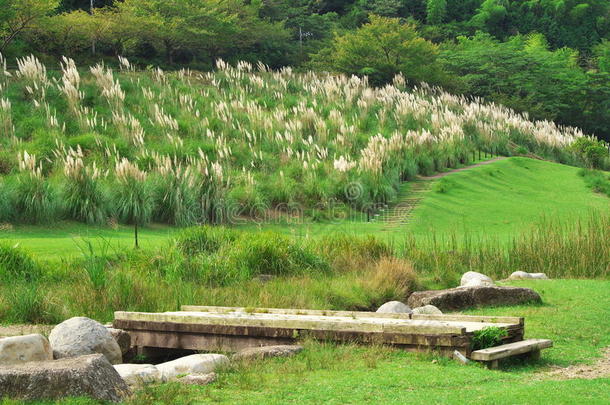 水坝家庭草伊藤<strong>伊豆</strong>