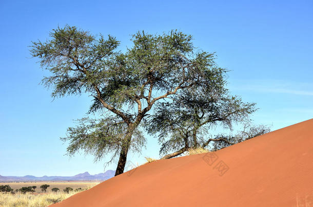沙漠景观-纳米比亚，纳米比亚