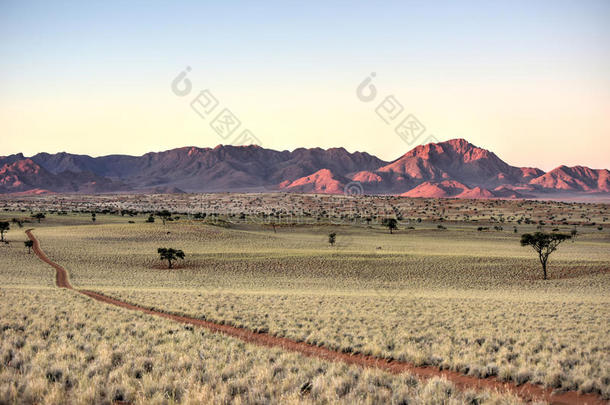 沙漠景观-纳米比亚，纳米比亚