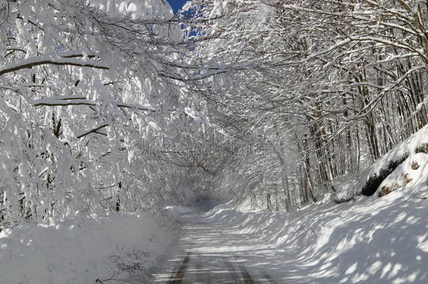 雪路