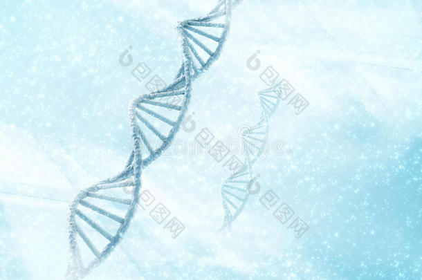 <strong>dna</strong>分子