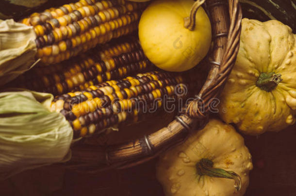 玉米和小南瓜