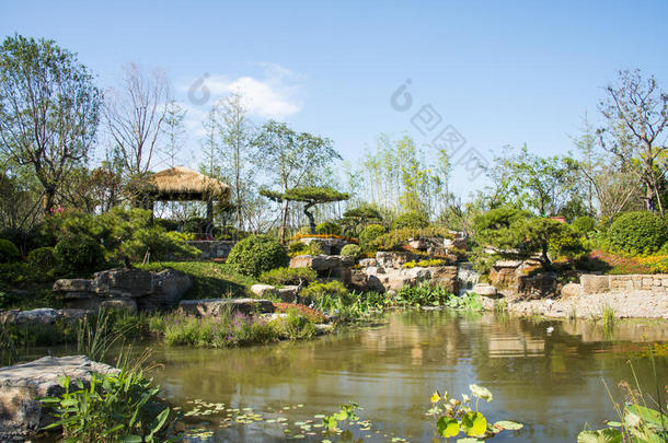 亚洲中国，武清，天津，绿色博览会，公园风景
