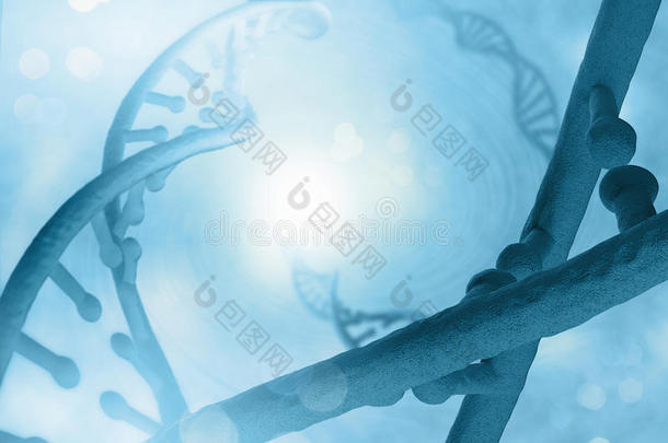 <strong>dna</strong>分子