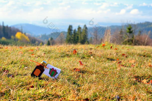一瓶酒精和背景中秋天景观的礼物。