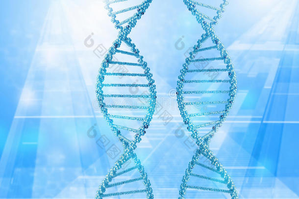 <strong>dna</strong>分子