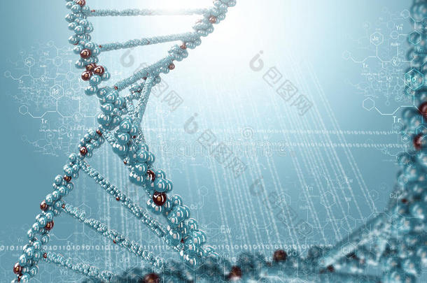 <strong>dna</strong>分子