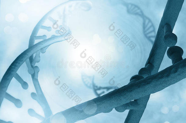 <strong>dna</strong>分子