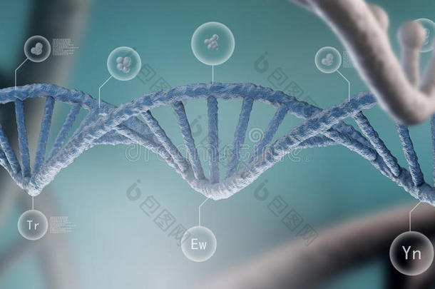 <strong>dna</strong>分子