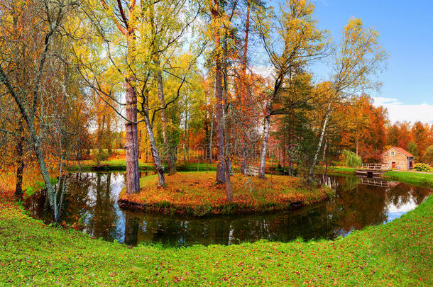 秋天的乡村景观-以池塘和小房子为背景的孤独岛